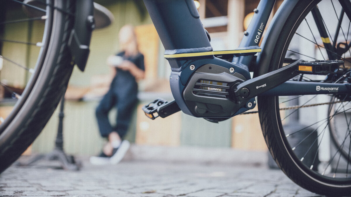 E-Bike Motor 