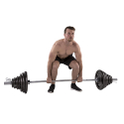 Tunturi dumbbell set 100 kg cast iron 50 mm Olympic