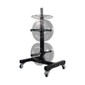 Tunturi disc rack