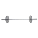 Tunturi Cross Fit Olympische Stange - 650 kg