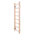BenchK 100 Sprossenwand
