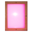 Infrared coloured light panel LED 24x31 cm with remote control