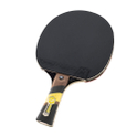 Cornilleau excell 2000 table tennis bat