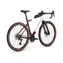 Focus Atlas 6.8 white / mahogany red 2024 - RH 60 cm