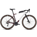 Focus Atlas 6.8 white / mahogany red 2024 - RH 60 cm