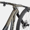 Cannondale LAB71 Scalpel burnt pewter 2024 - RH-S test bike