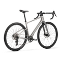 Mondraker Arid R golden silver