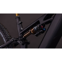 Cube Stereo Hybrid ONE44 HPC AT 800 carbon'n'gold 2026