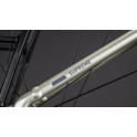 Cube Supreme RT Hybrid Comfort EXC 600 champagne´n´grey 2026 Easy Entry