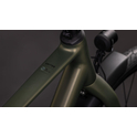Cube Editor ONE FE reedgreen´n´black 2026 - RH 54 cm