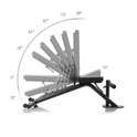 Hammer Weight bench self-sufficient