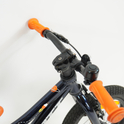 Scott Roxter 14 2020 Gebrauchtrad