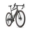 BMC Teammachine SLR 01 FOUR gold glitter carbon