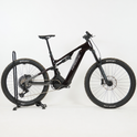 Haibike Allmtn CF 9 black platinum 2026 - RH-M Testrad