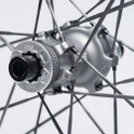 Spare wheel set 42/49 TA SL Carbon SP XDr HG11 CL