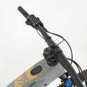 Whistle FSC07 anthracite / gold - RH-M Gebrauchtrad