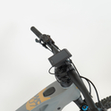 Whistle WC07 anthracite / gold - RH-M Ausstellungsrad