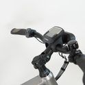 Flyer Tandem 7.83 silver dark cool – RH-S/XL second-hand bike