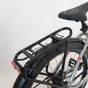 Flyer Tandem 7.83 silver dark cool – RH-S/XL second-hand bike