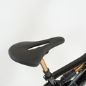 Kneissl Design World Champion - RH-M Gebrauchtrad