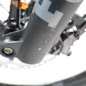 Kneissl Design World Champion - RH-M Gebrauchtrad