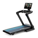 Hammer Laufband Technum 10.0