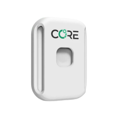 Core 2 Thermal Sensor