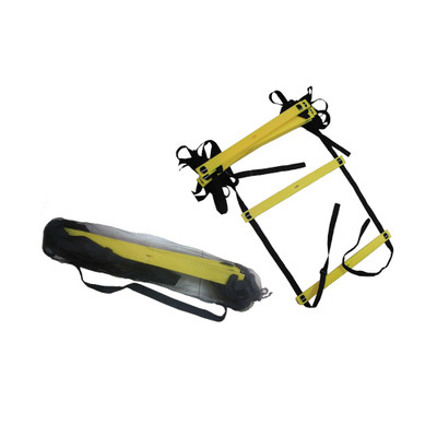 Tunturi Agility Leiter