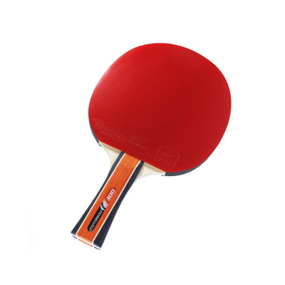 Cornilleau Sport 300 Tischtennisschläger