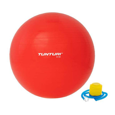 Tunturi Gymball rot