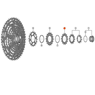 Shimano sprocket for CS-M8100 14T.
