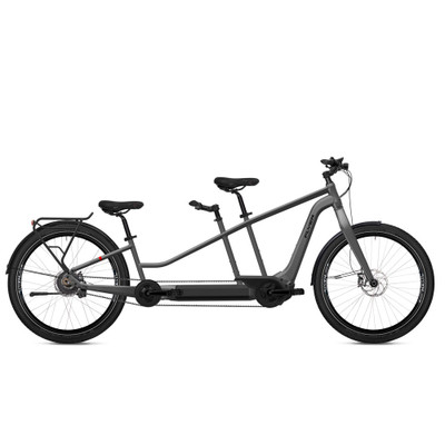 Flyer Tandem 7.83 silver dark cool