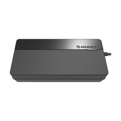Giant Ladegerät Smart Charger (vollintegrierte Akkus) 6A