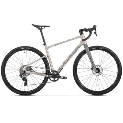 Mondraker Arid R golden silver