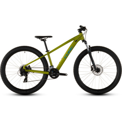 Cube Acid 260 Disc lizard´n´blue 2026
