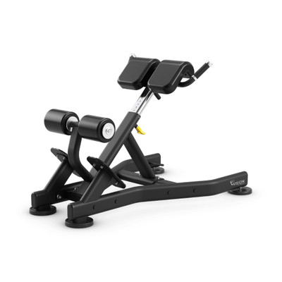 Vision Fitness Back Extension Bench