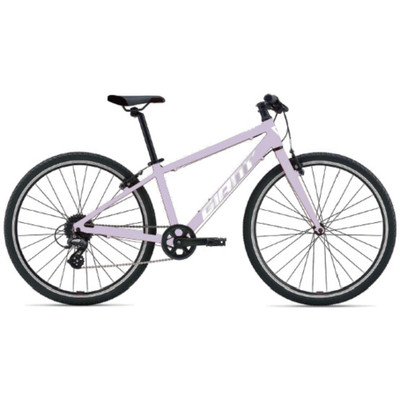 Giant ARX 24 misty lilac