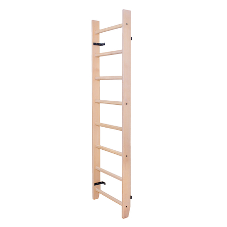 BenchK 100 Sprossenwand
