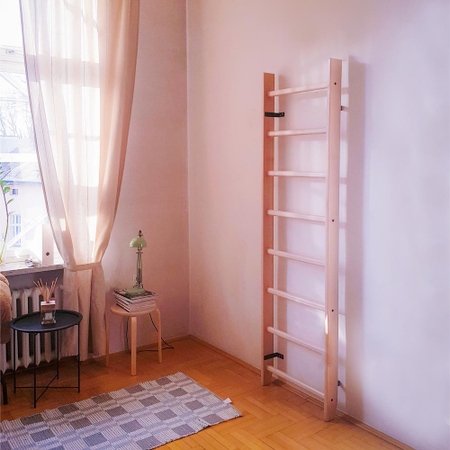 BenchK 100 Sprossenwand