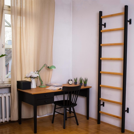 BenchK 200B Sprossenwand
