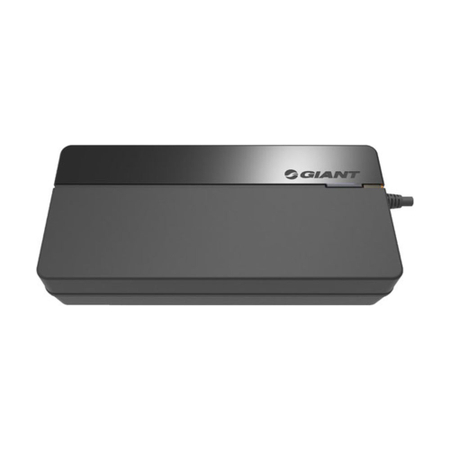 Giant Ladegerät Smart Charger (vollintegrierte Akkus) 6A