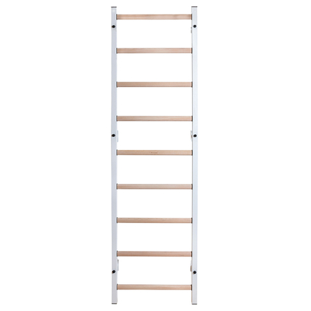BenchK 700W Sprossenwand