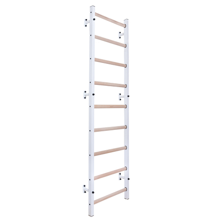 BenchK 700W Sprossenwand
