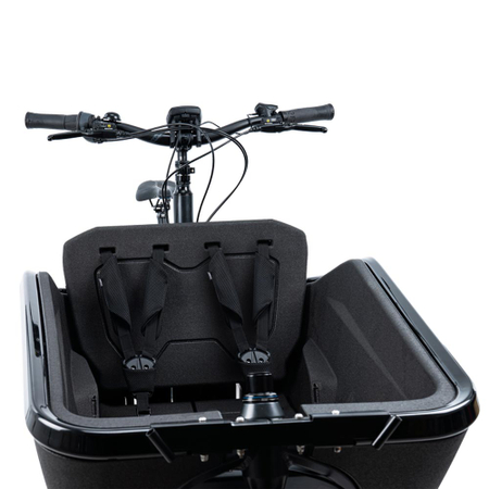 Cube Sicherheitsgurt CARGO black