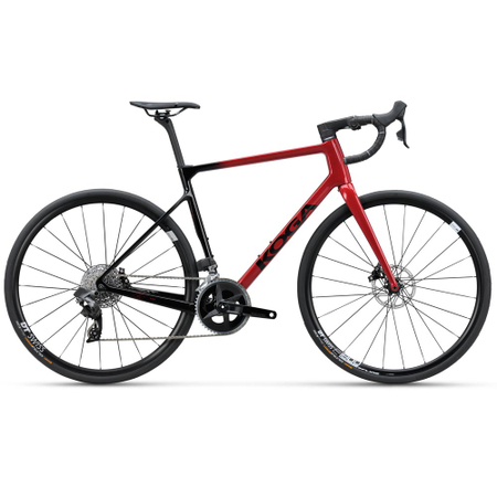 Koga Roqa Premium 2024 - RH-L
