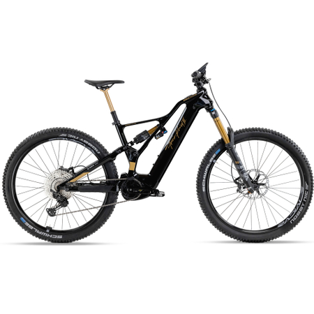 Kneissl Design World Champion 2024 - RH-M Testrad