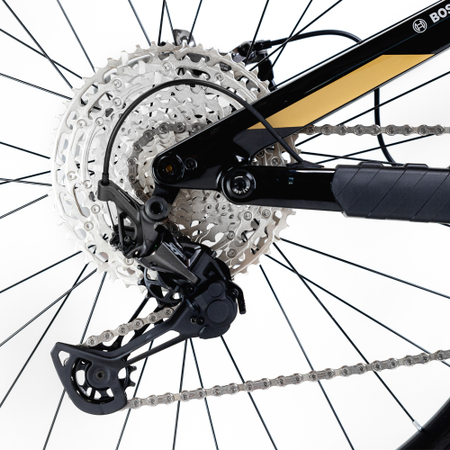 Kneissl Design World Champion 2024 - RH-M Testrad