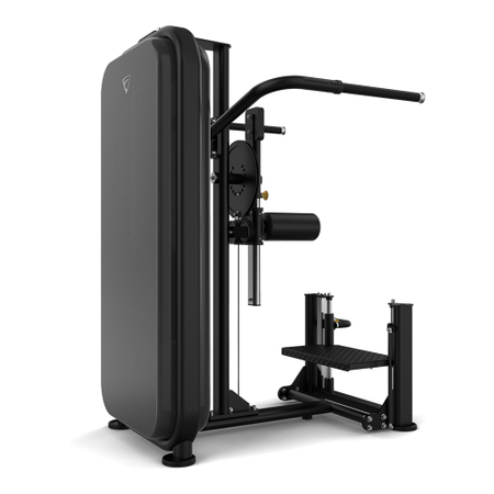 Vision Fitness Multihip