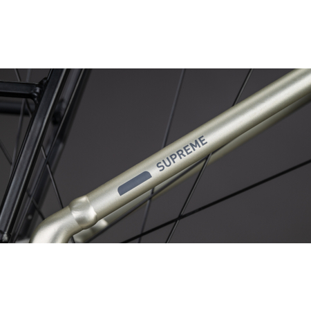 Cube Supreme RT Hybrid Comfort EXC 600 champagne´n´grey 2026 Easy Entry
