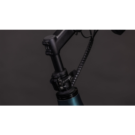 Cube Longtail Hybrid 800 royalgreen'n'black 2026